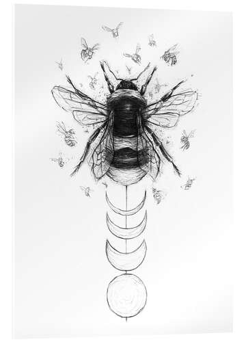 Acrylglasbild Hummel