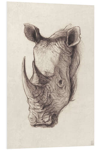 Foam board print Rhino portrait, vintage