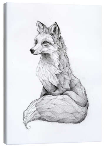 Canvas print Vulpes vulpes, black and white