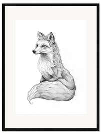 Framed art print Vulpes vulpes, black and white
