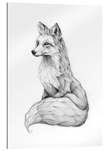 Gallery print Vulpes vulpes, black and white