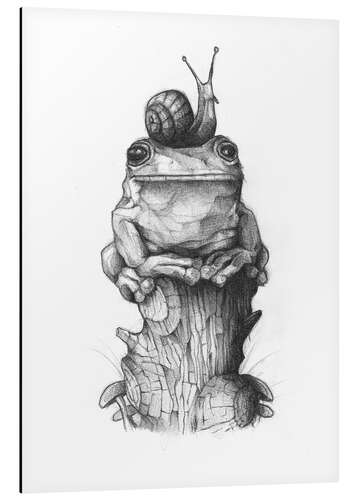 Aluminium print The frog and the snail, black and white