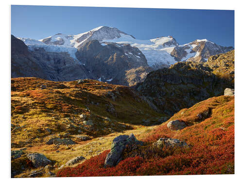 Foam board print Alps Autumn