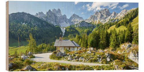 Hout print Hofalm in Austria