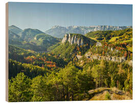 Hout print Viennese Alps