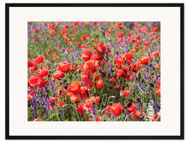 Gerahmter Kunstdruck Mohnblumenwiese