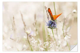 Selvklæbende plakat Orange butterfly