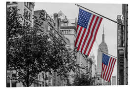 Aluminium print Flags in New York