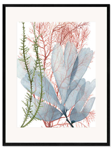 Ingelijste kunstdruk Sea plants I