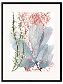 Ingelijste kunstdruk Sea plants I