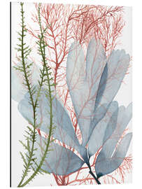 Magnettafel Seepflanzen I