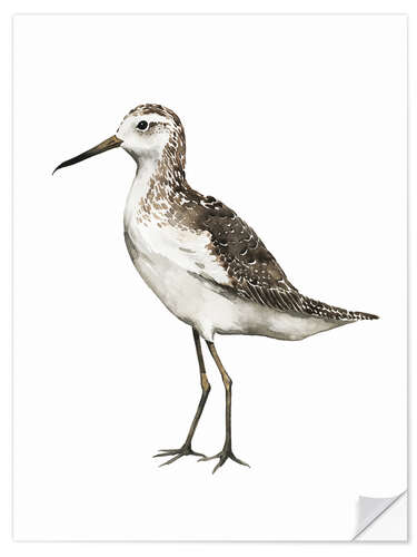 Selvklebende plakat Sandpiper I