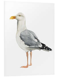 Foam board print Gull