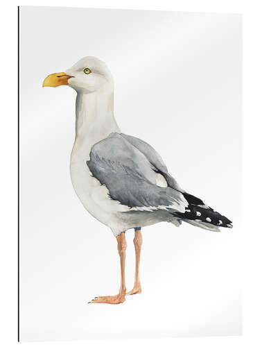 Tableau en plexi-alu Mouette