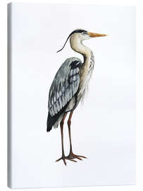 Canvas print Heron