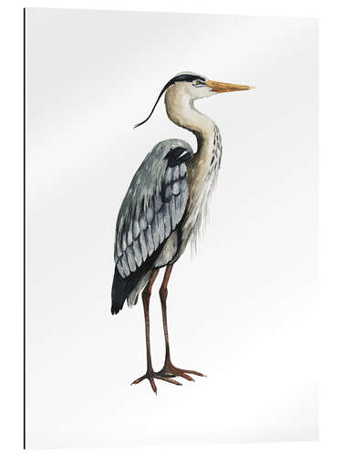 Gallery print Heron