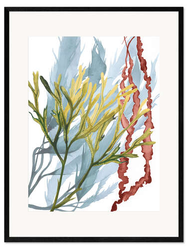 Impressão artística com moldura Plantas marinhas II