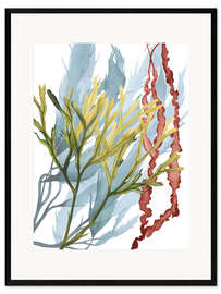 Impressão artística com moldura Plantas marinhas II