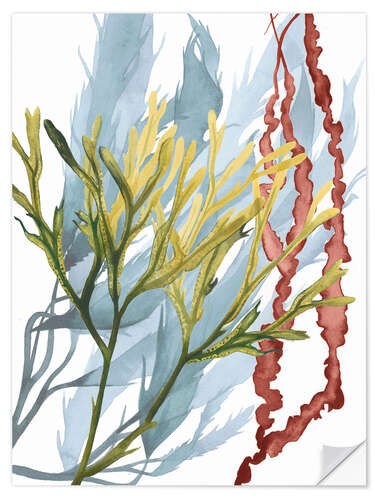 Selvklebende plakat Sea plants II