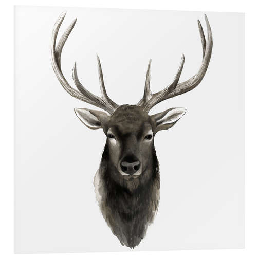 Foam board print Deer portrait