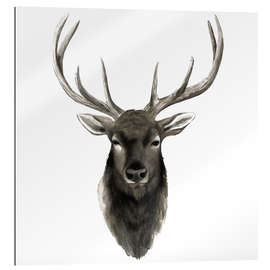 Gallery print Deer portrait