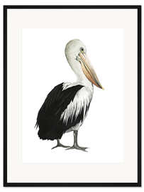 Gerahmter Kunstdruck Pelikan