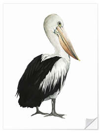 Wall sticker Pelican