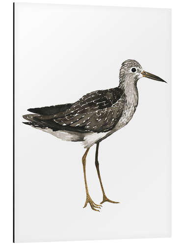 Aluminium print Sandpiper II