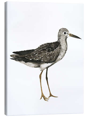 Canvas print Sandpiper II