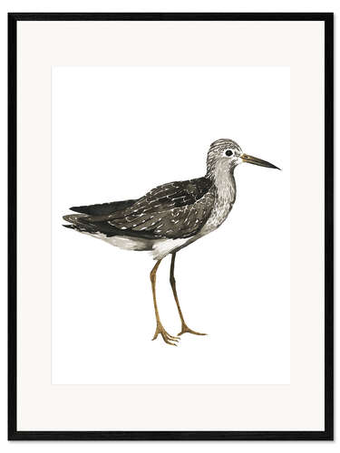 Framed art print Sandpiper II