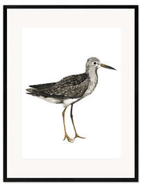 Framed art print Sandpiper II