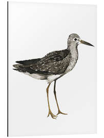 Magnettafel Strandläufer II