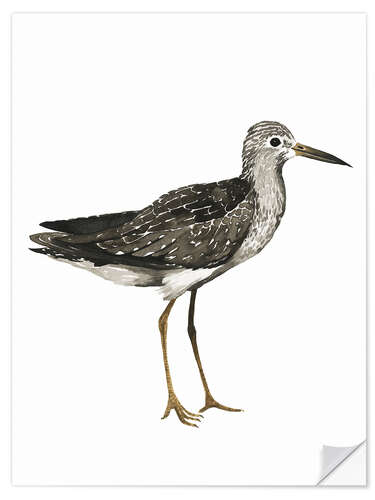 Selvklebende plakat Sandpiper II