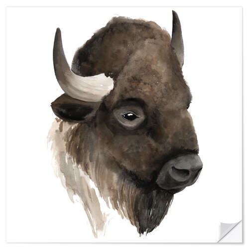 Naklejka na ścianę Buffalo portrait