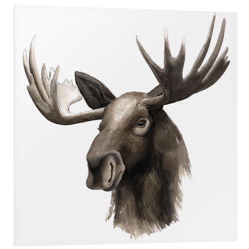 Foam board print Moose portrait