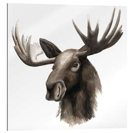 Galleriataulu Moose portrait