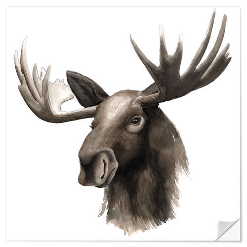 Naklejka na ścianę Moose portrait