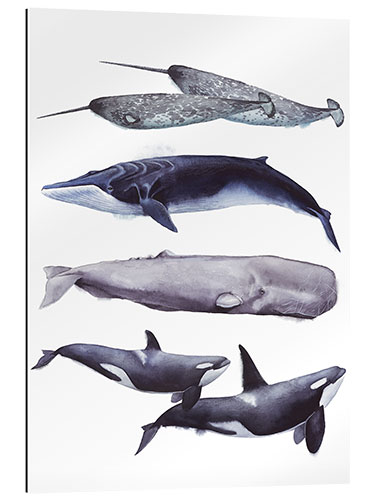 Galleriprint Whales I