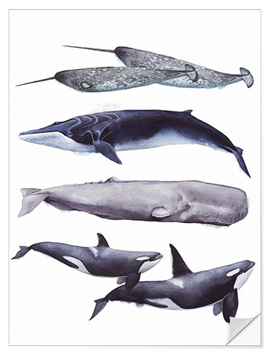 Selvklæbende plakat Whales I