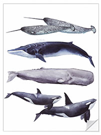 Selvklebende plakat Whales I