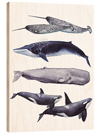 Wood print Whales I