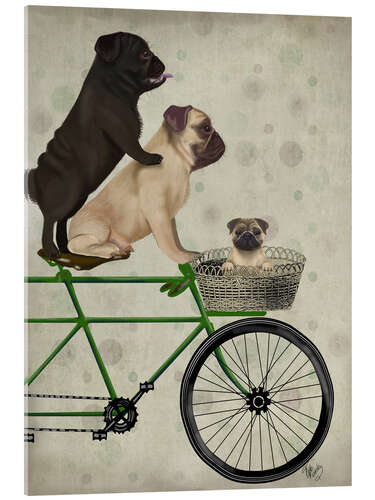 Cuadro de metacrilato Pug en bicicleta