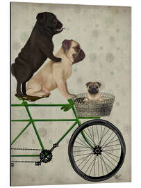 Aluminiumsbilde Pugs on Bicycle