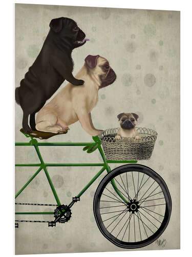 Cuadro de PVC Pug en bicicleta