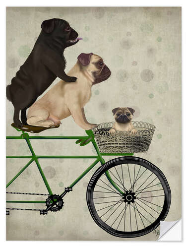 Selvklæbende plakat Pugs on Bicycle