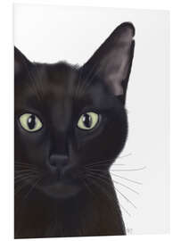 Foam board print Black cat