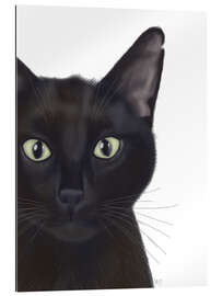 Gallery print Black cat