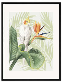 Gerahmter Kunstdruck Nymphensittich