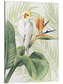 Magnettafel Nymphensittich