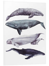 Foam board print Whales II